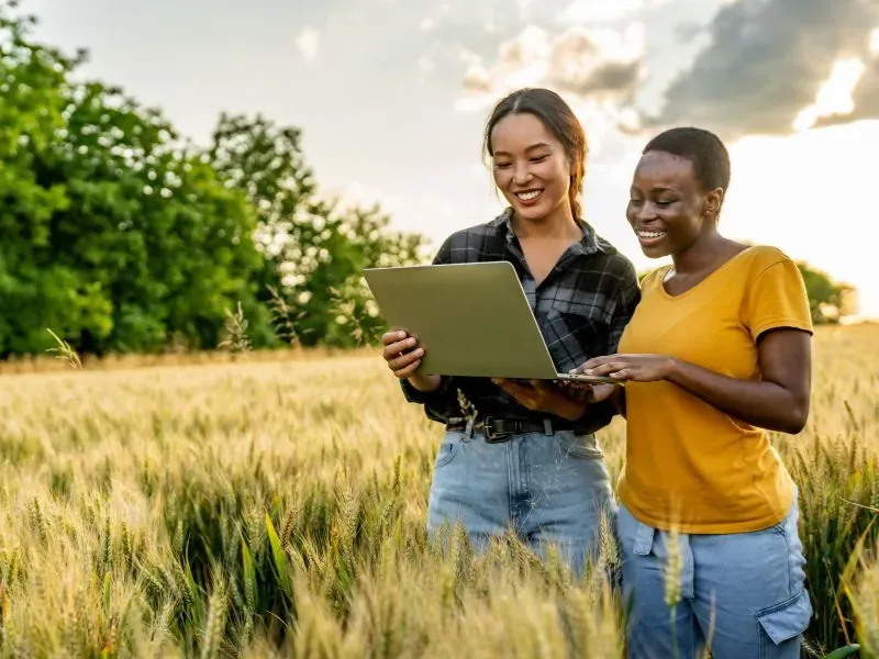Mulheres do campo usando notebook dentro da plantação